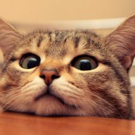 CARLOS VARGAS ABARCA